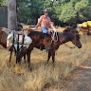 Meet your Posher, Jess